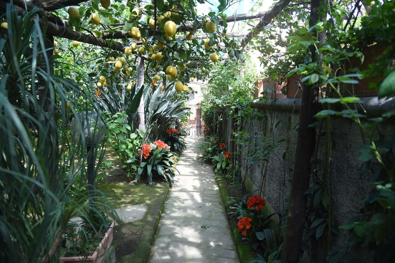 Anthea Sorrento Bed & Breakfast ภายนอก รูปภาพ