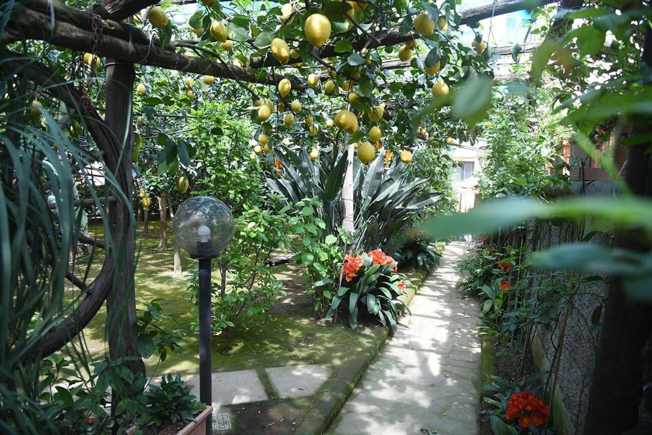 Anthea Sorrento Bed & Breakfast ภายนอก รูปภาพ